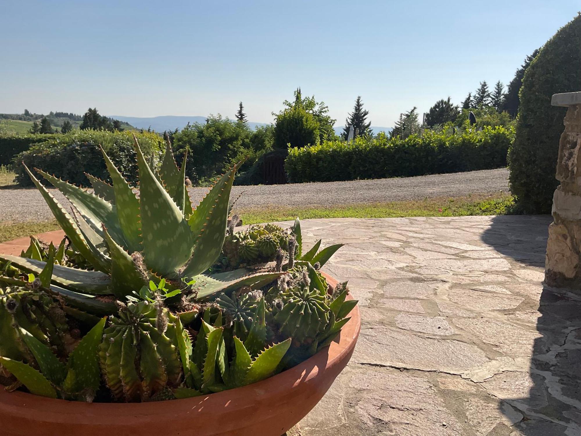 Villa Il Borraccio Tavarnelle Val di Pesa المظهر الخارجي الصورة